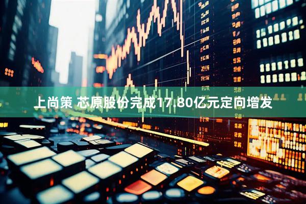上尚策 芯原股份完成17.80亿元定向增发