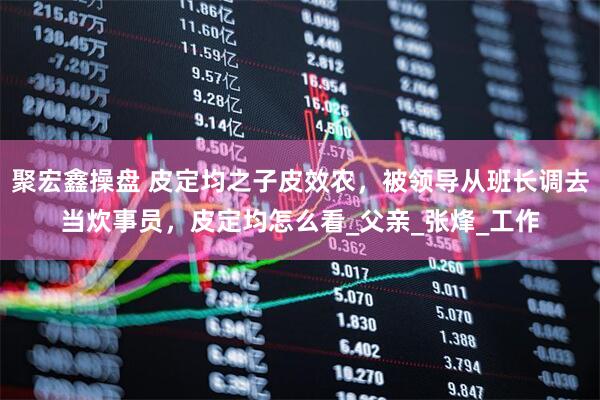 聚宏鑫操盘 皮定均之子皮效农，被领导从班长调去当炊事员，皮定均怎么看_父亲_张烽_工作
