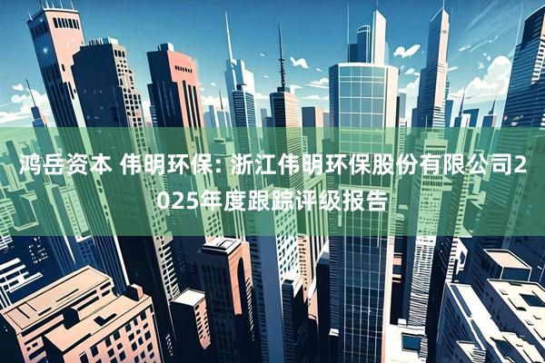 鸿岳资本 伟明环保: 浙江伟明环保股份有限公司2025年度跟踪评级报告
